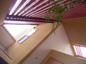 アプローチを見上げる