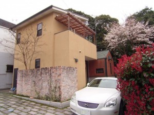 事務所の裏手です。塀に味がでてきました。