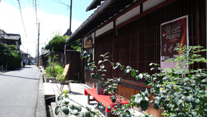 藤原京と平城京をつなぐ下ツ道より